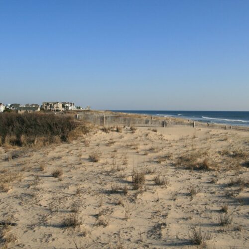 Delaware Beaches State Parks - Delaware Seashore Lifestyle Things to Do