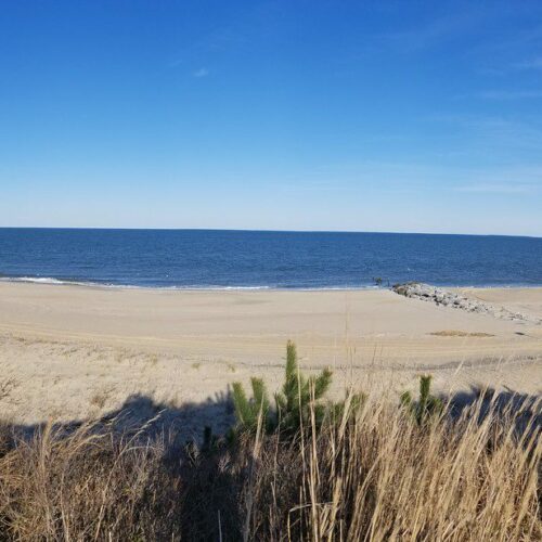Delaware Beaches State Parks - Cape Henlopen Lifestyle Things to Do