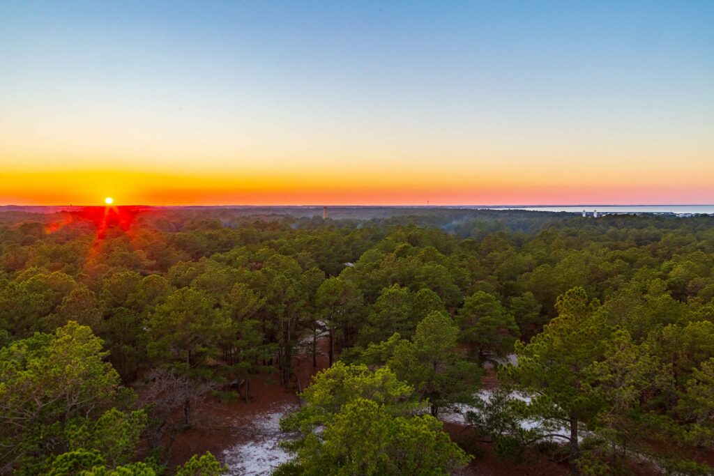 Delaware Beaches State Parks - Cape Henlopen Lifestyle Things to Do