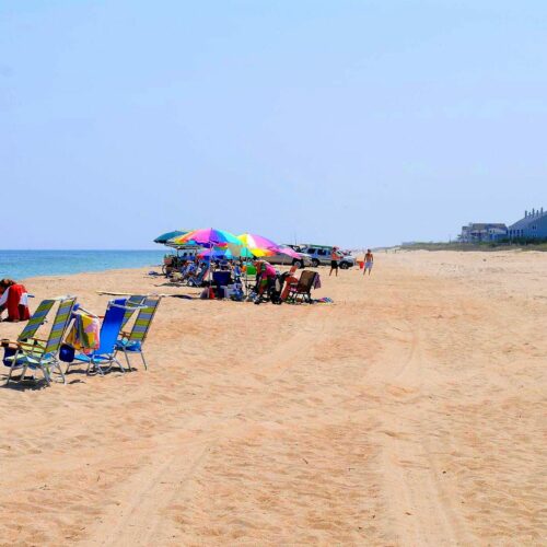 Delaware Beaches State Parks - Fenwick Island Lifestyle Things to Do