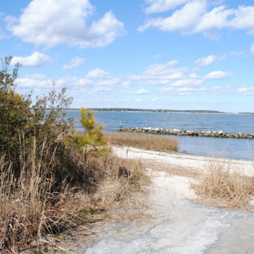 Holts landing state park delaware beaches things to do tourism