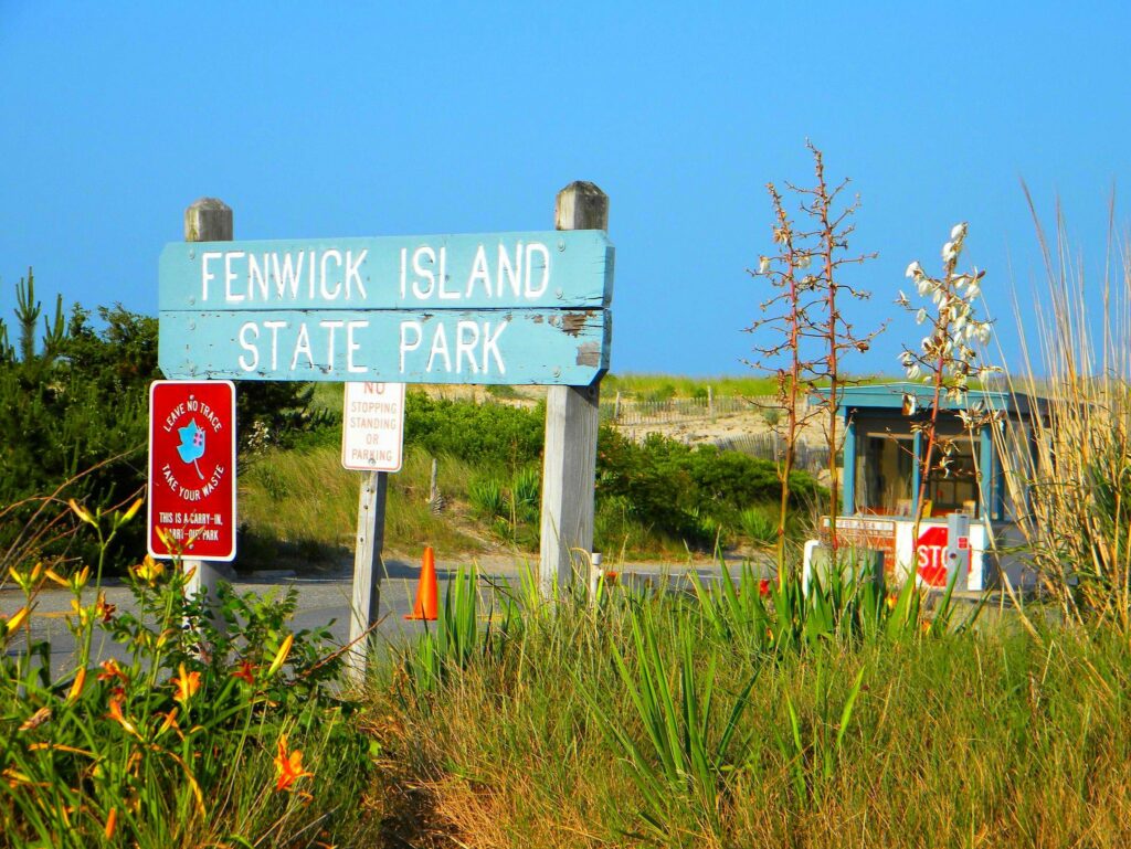 Delaware Beaches State Parks - Fenwick Island Lifestyle Things to Do