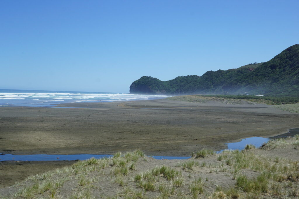 East of Maui Surf Camp in Lewes, Delaware