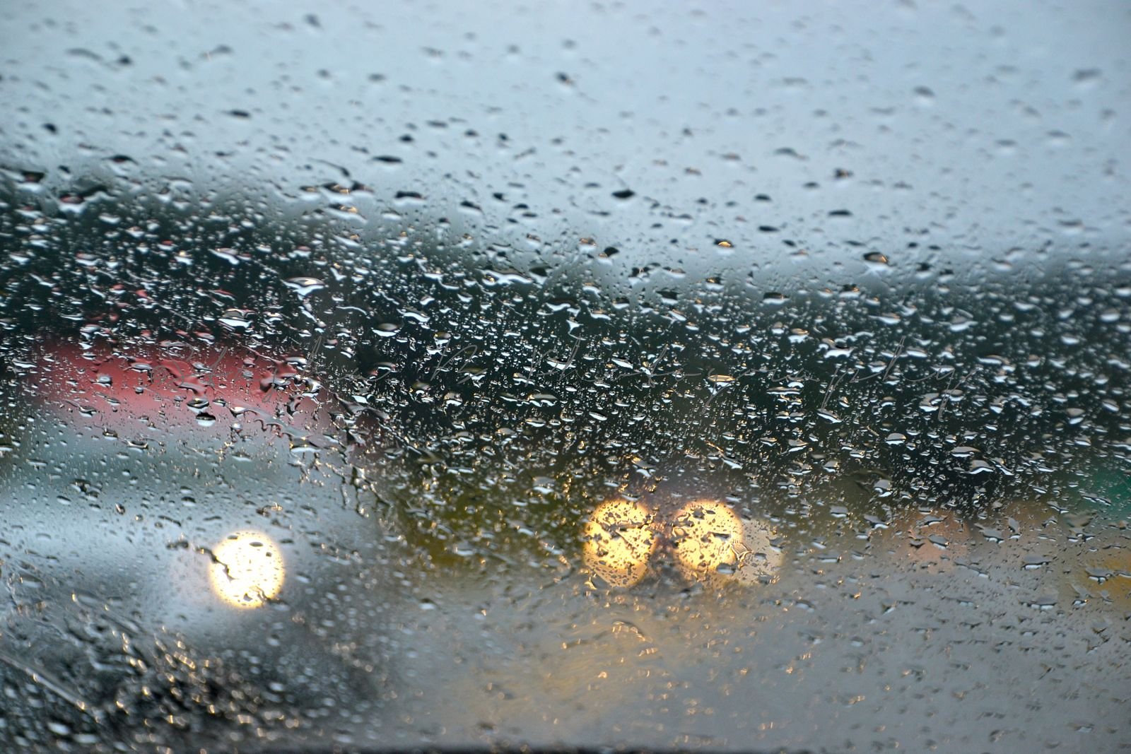 Rainy Day Guide: What to Do When It's Raining in Delaware