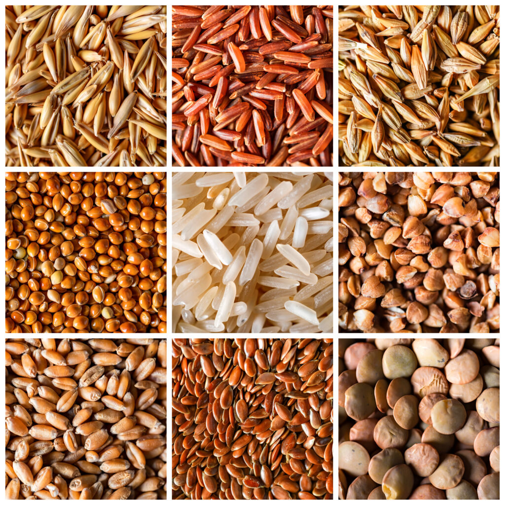 Grains for a healthier diet