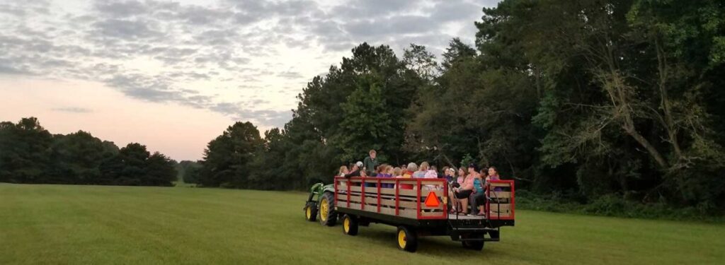 Halloween wagon rides, Bellevue