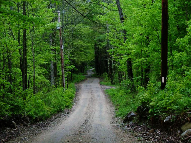 Chestnut Hill Trail