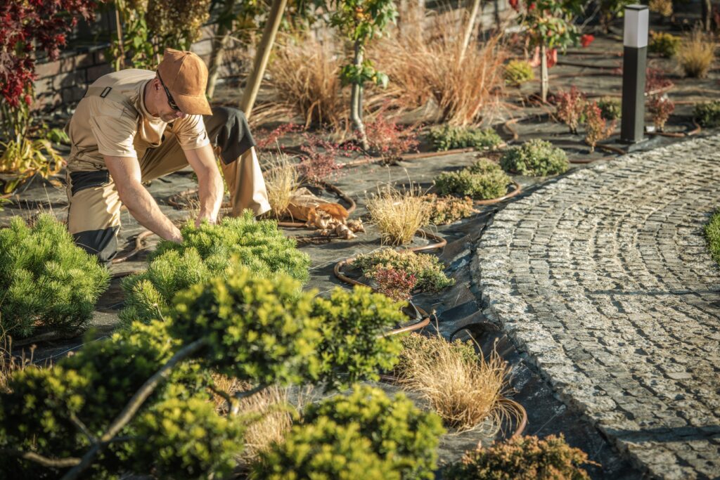 Preventing Soil Erosion with Hardscaping 