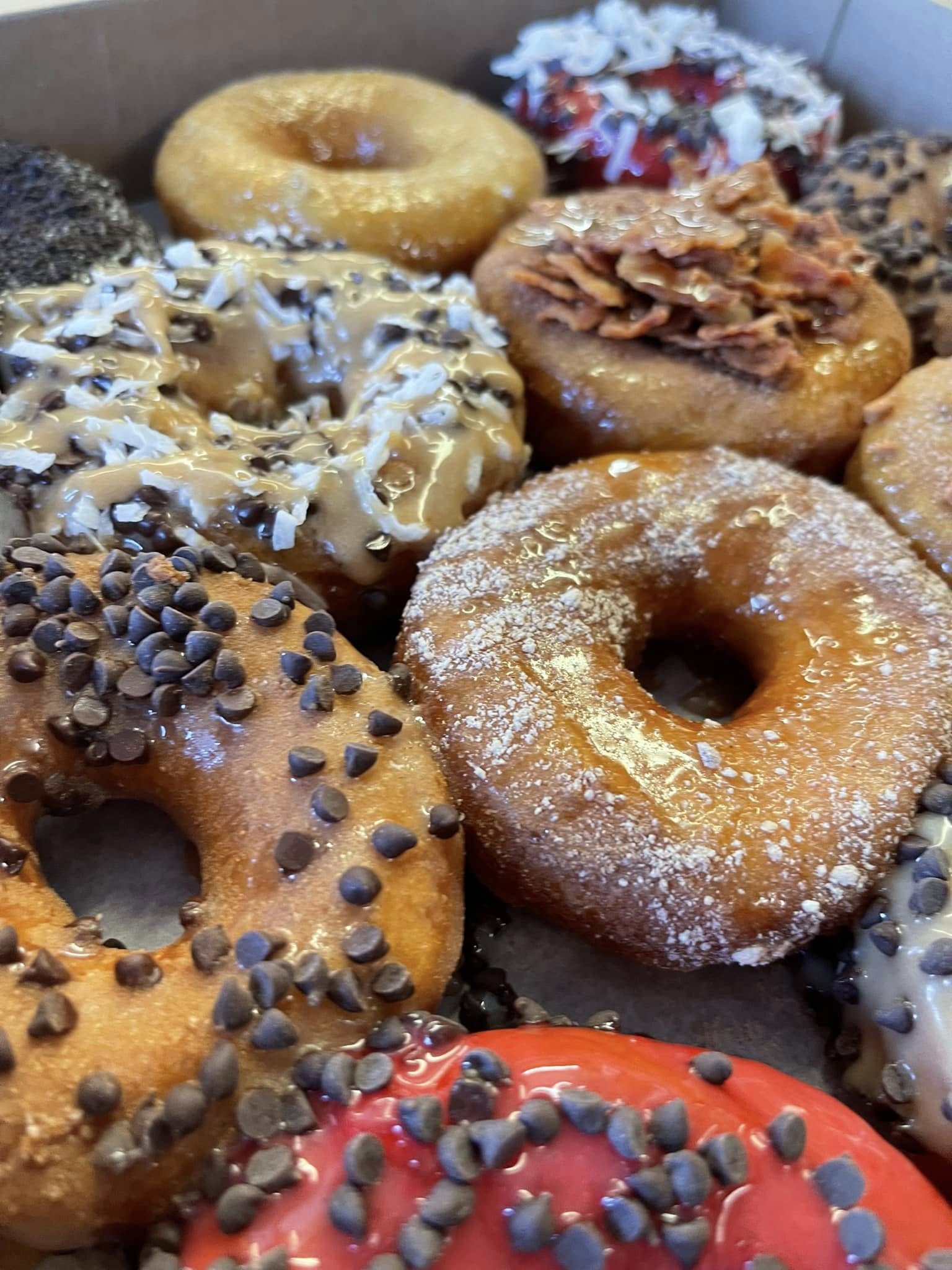 Rehoboth Beach Fractured Prune