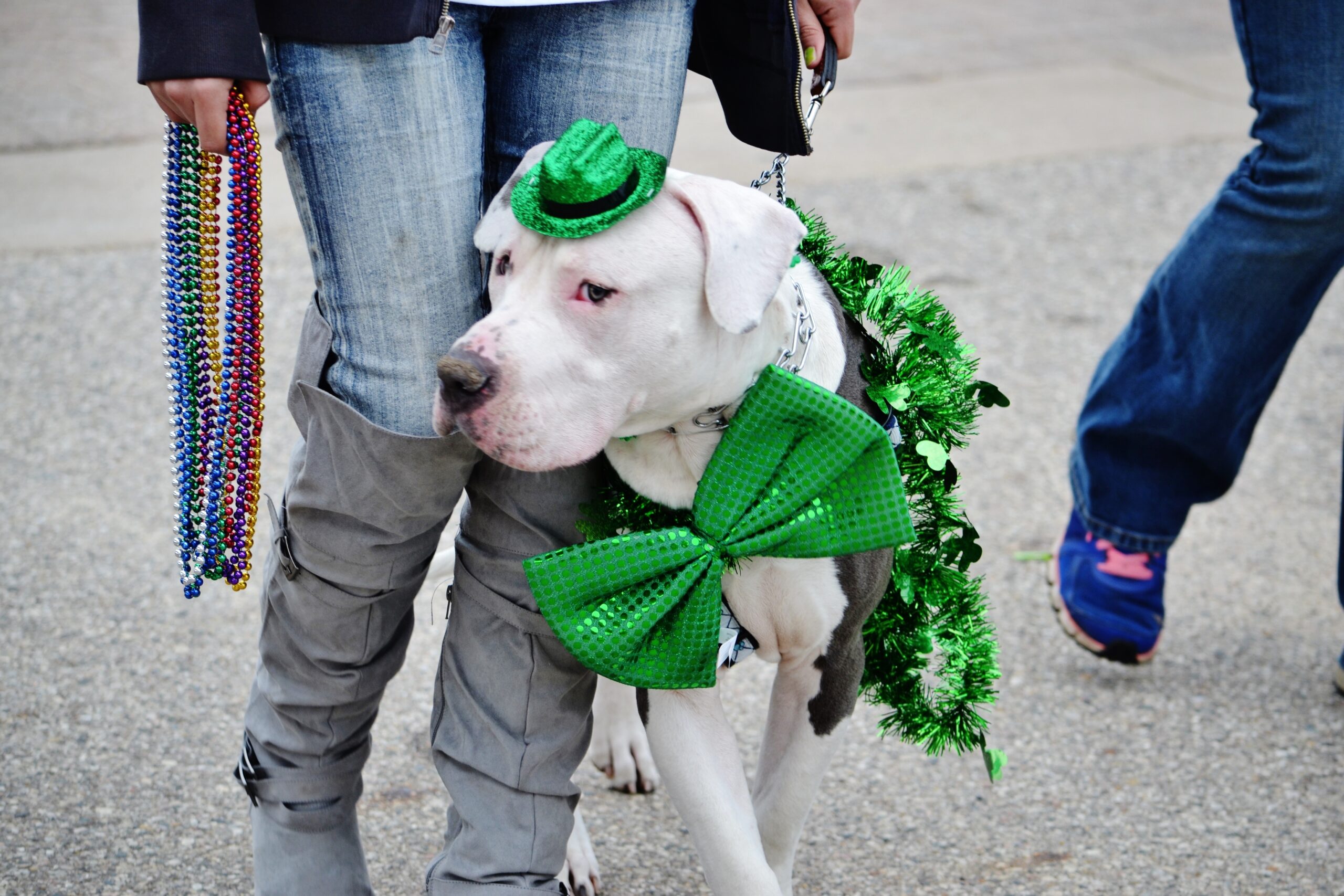 St. Patrick’s Day: History, Traditions & How It Became a Global Celebration