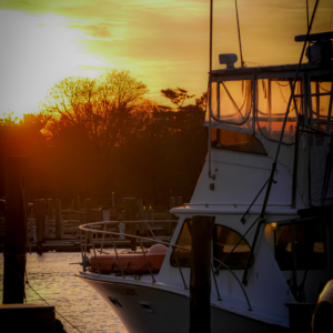 Quietly docked along the scenic Lewes Canal, these boats are ready for your next adventure—elegant, sturdy, and waiting to set sail.