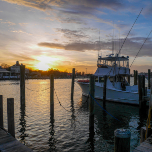 Quietly docked along the scenic Lewes Canal, these boats are ready for your next adventure—elegant, sturdy, and waiting to set sail.