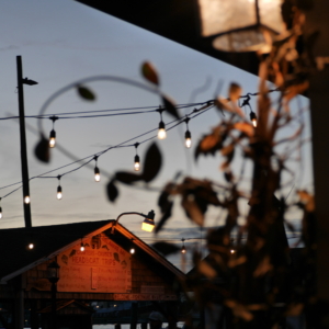 Fisherman’s Wharf on the Lewes Canal 3
