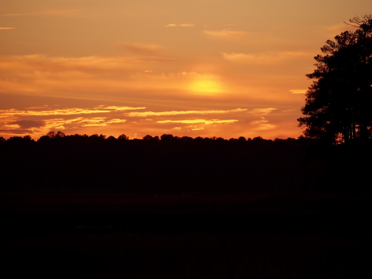 360° Sunset at Delaware Beach Preserve | Virtual Coastal Escape