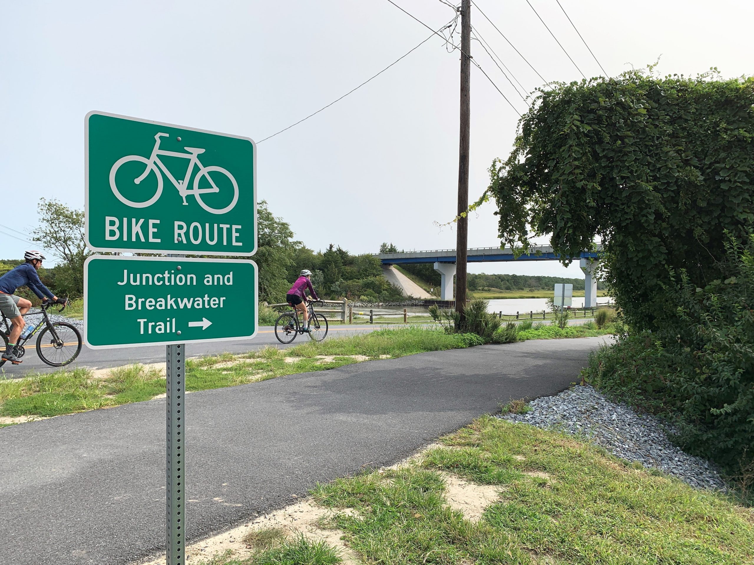 Top 10 Trails in Delaware: Best Biking & Hiking Paths for Outdoor Adventure