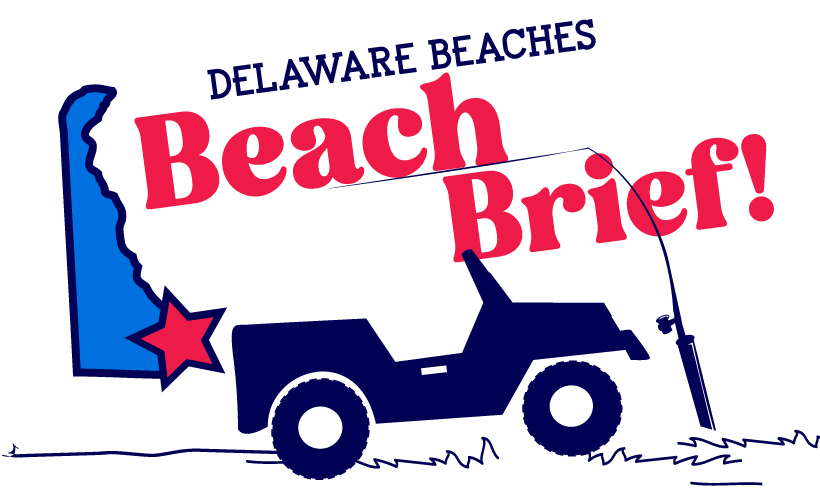 Beach Brief Banner