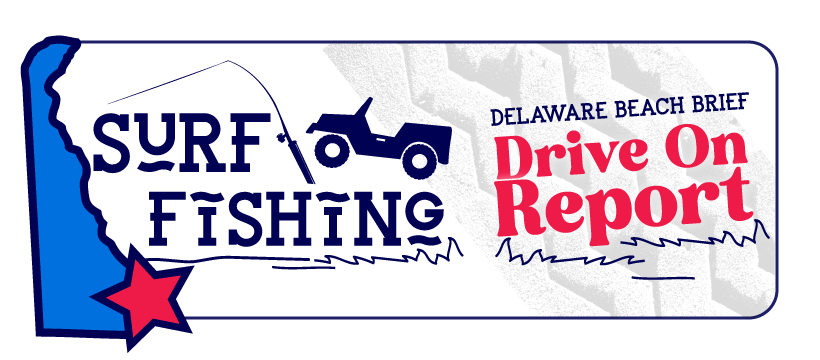 Drive-On Beach Report