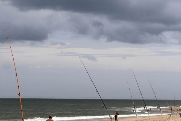 Summer Surfing & Surf Fishing in Delaware