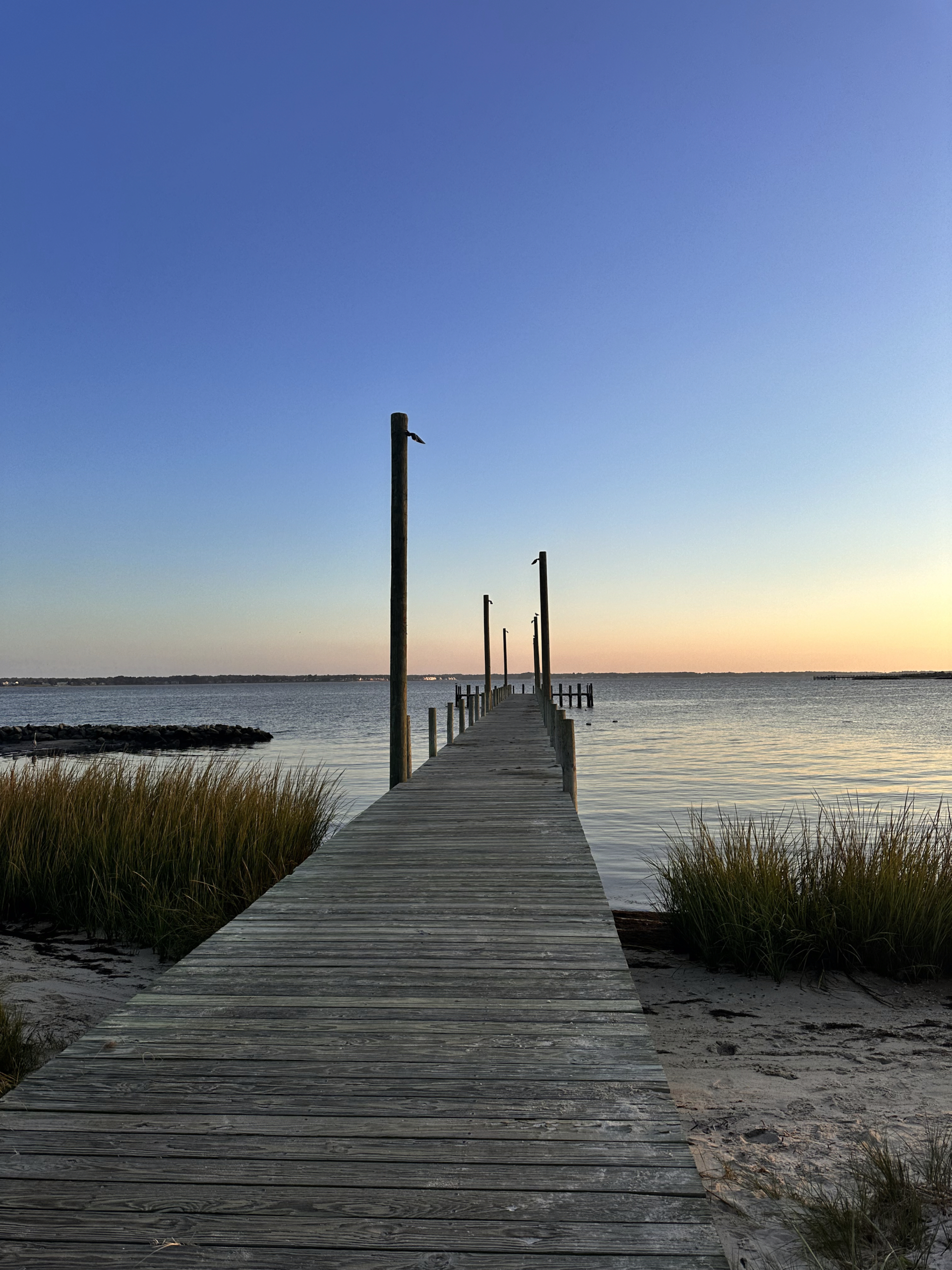 Delaware’s Secret Beaches for a Tranquil Summer Escape