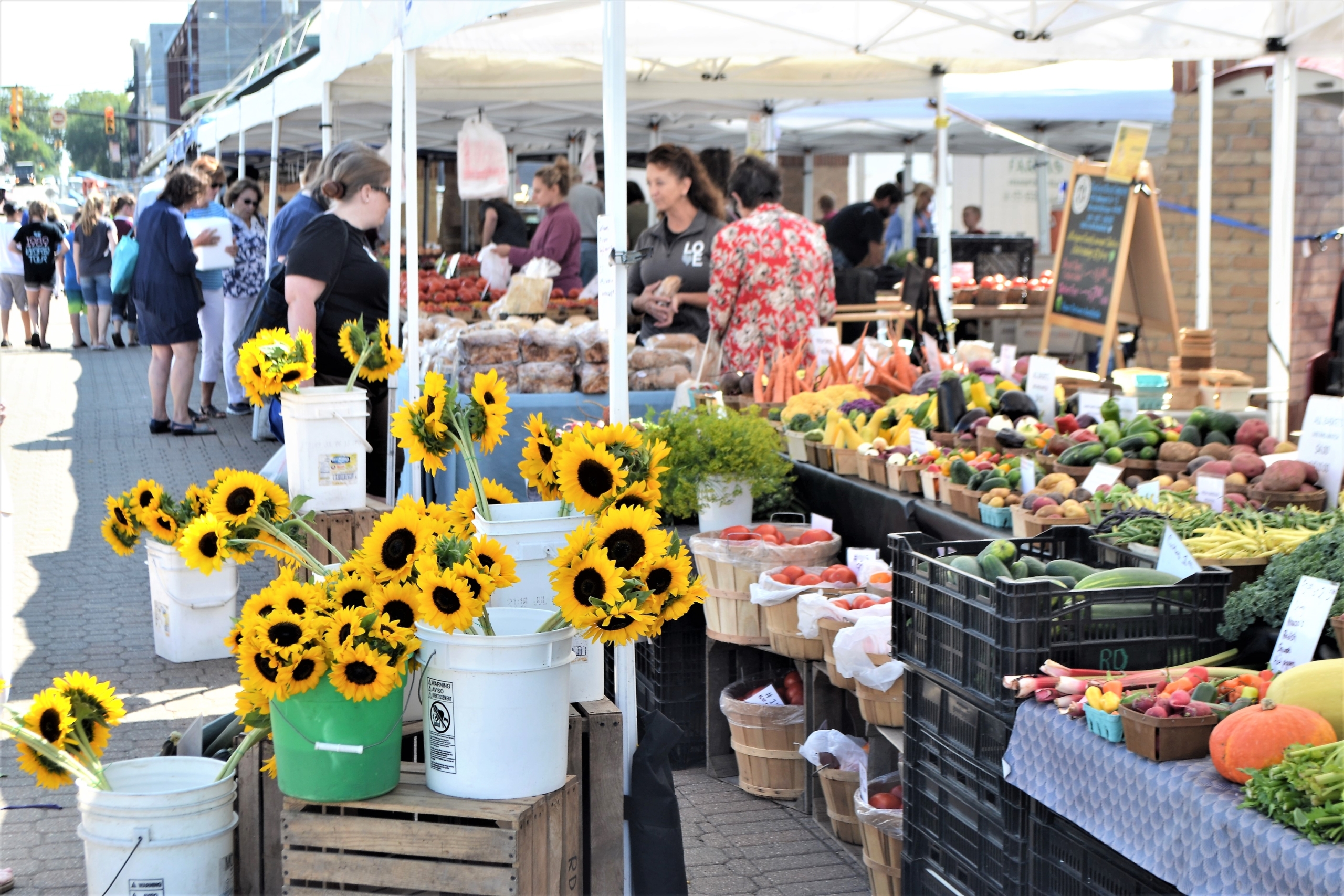 Bethany Beach Farmers' Market 2025 Season