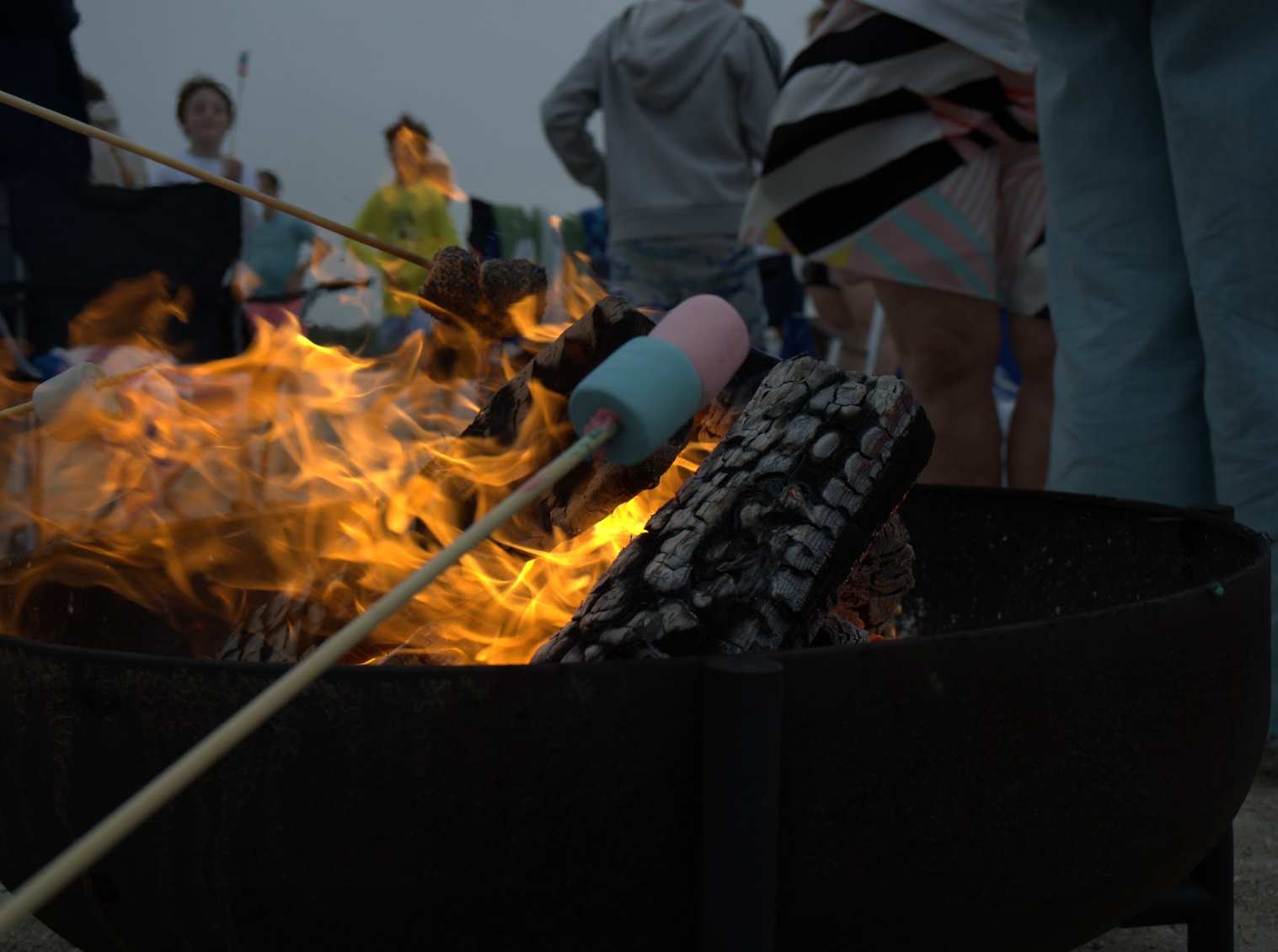Family-Friendly Camping Spots in Delaware